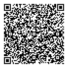 QR код "Торус"