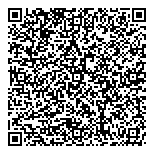 QR код "Профессионал"
