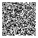 QR код "Глобус"