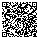 QR код "Mephisto"