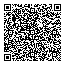 QR код "Boomerang"