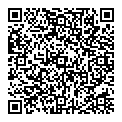 QR код "Big Bag"
