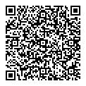QR код "Big Bag"