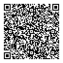 QR код "Domino"