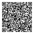 QR код "Domino"