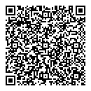 QR код "Solo"
