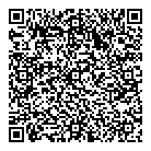 QR код "Созвездие"
