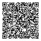 QR код "Созвездие"