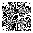 QR код "Лион"