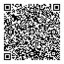 QR код "Динамо"