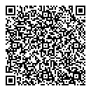QR код "Луна"