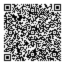 QR код "Пчелка"