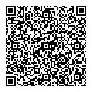 QR код "Мир"