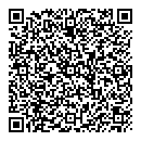 QR код "Чайка"