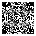 QR код "Звёздный"