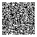 QR код "DaVinchi"