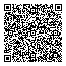 QR код "Спутник"