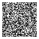 QR код "Домино"