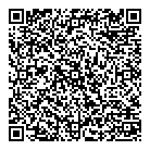 QR код "Профессионал"