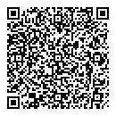 QR код "Созвездие"