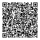 QR код "Бис"