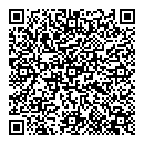QR код "Шарик"