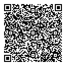 QR код "Алиса"