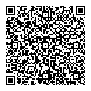 QR код "Домино"
