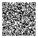 QR код "Звёздный"