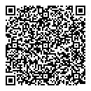 QR код "Флекс"