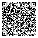 QR код "Сателлит"