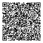 QR код "Бампера"