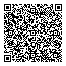 QR код "Глобус"
