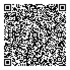 QR код "Глобус"