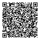 QR код "Глобус"