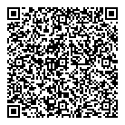 QR код "ДНС"