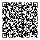 QR код "Молния"