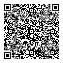 QR код "Ремикс"