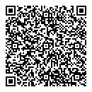 QR код "Шедевр"