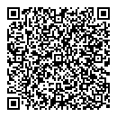QR код "Nefertiti"