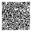 QR код "Алиса"