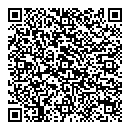 QR код "Чип и Дейл"