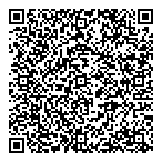 QR код "Dv-Instrument.ru"