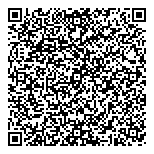QR код "33 пингвина"