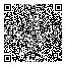 QR код "Вуаль"