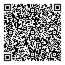 QR код "Метеор"