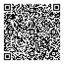 QR код "Мир Howo"