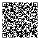QR код "Диавто"
