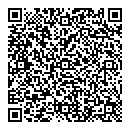 QR код "33 машинки"