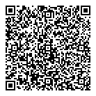 QR код "Шкода"